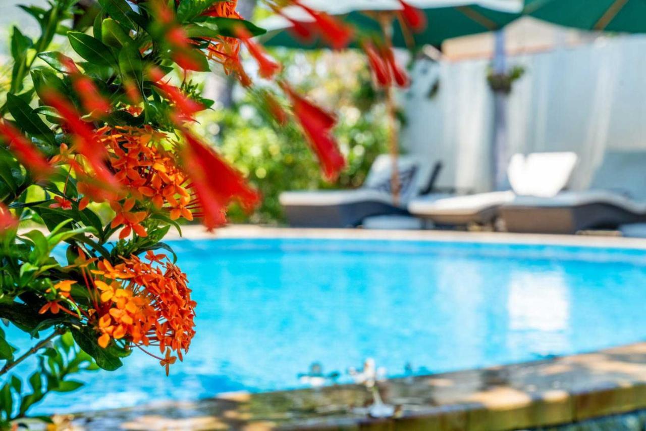 Ocean Sun Dive Resort Tulamben  Luaran gambar